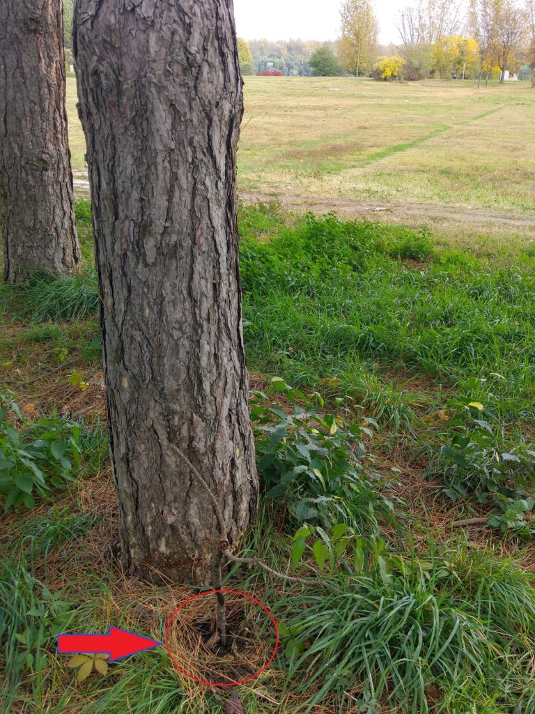 Pogled od pozadi a iznad mesta nad kojim je čučao Dileja