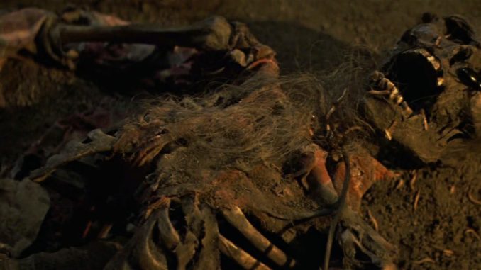 The.Goonies.1985 (1)
