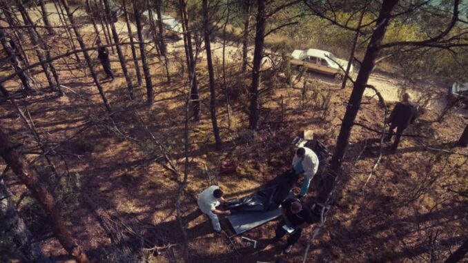 Woods2