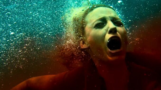 The.Shallows.2016 (5)