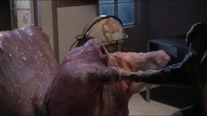 The.Blob.1988 (3)