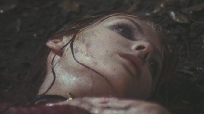 The.Bloodstained.Butterfly.1971 (7)