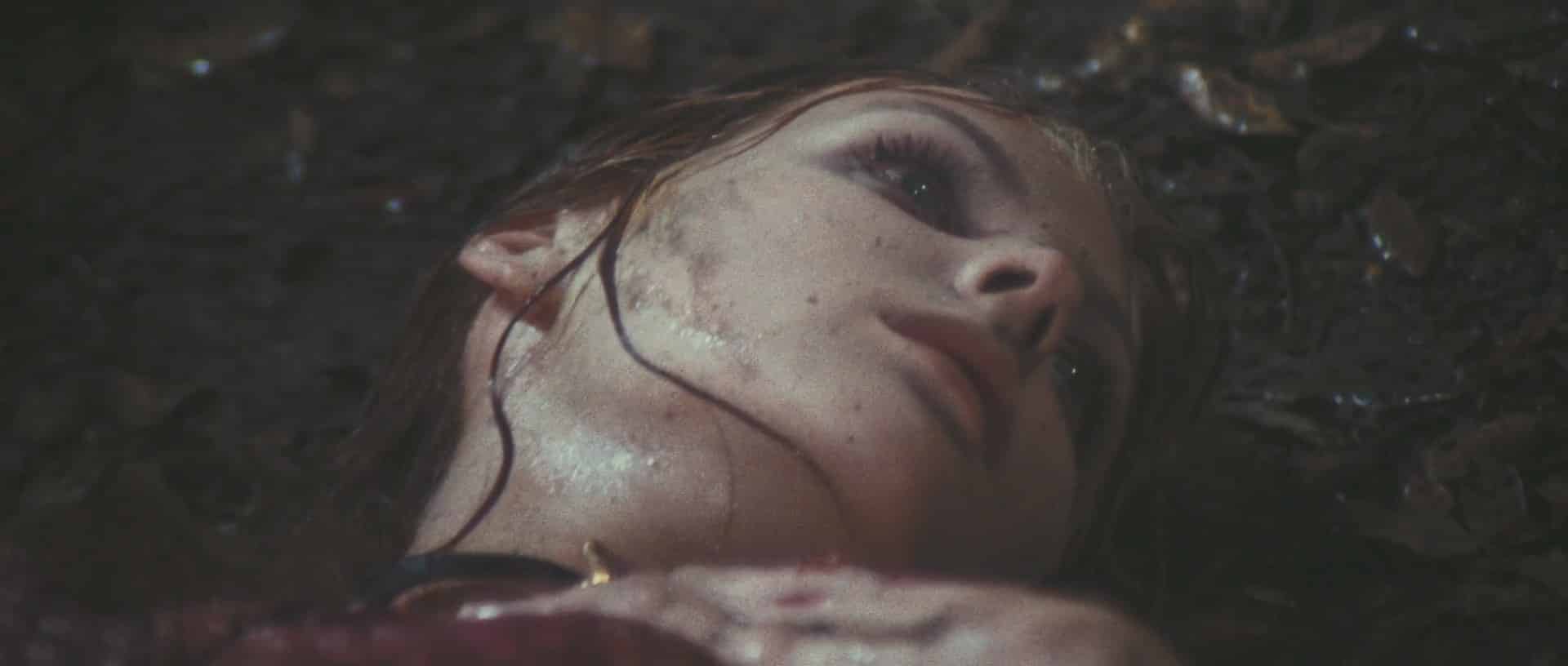 Una farfalla con le ali insanguinate aka The Bloodstained Butterfly (1971)