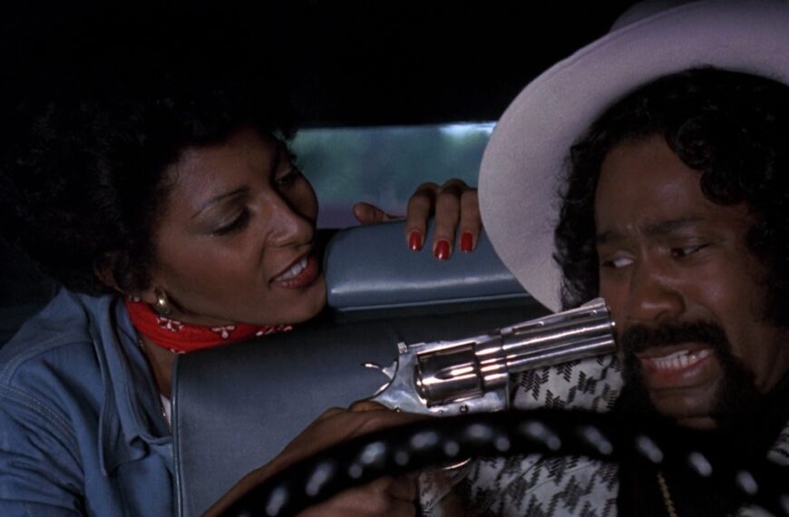 Sheba, Baby (1975)