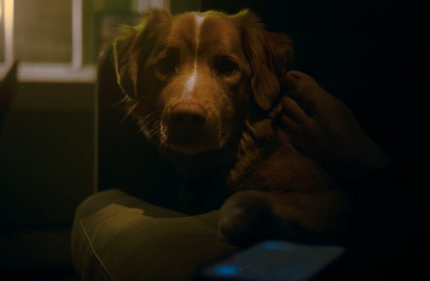 Good Boy (2025)