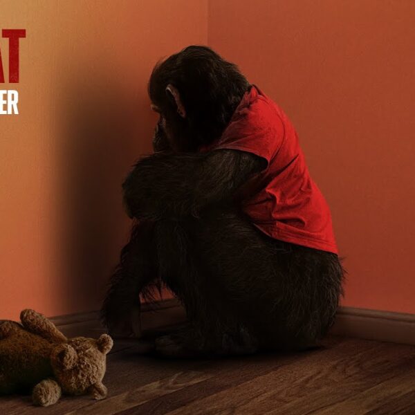 Primate aka Primat (2026)